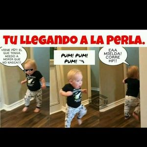 Meet your Posher, Janira